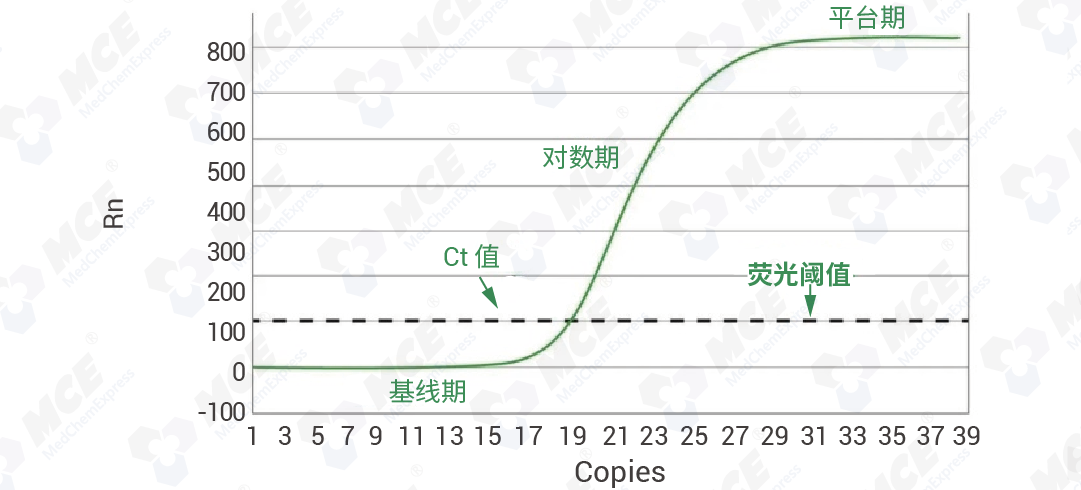 画板 71.png