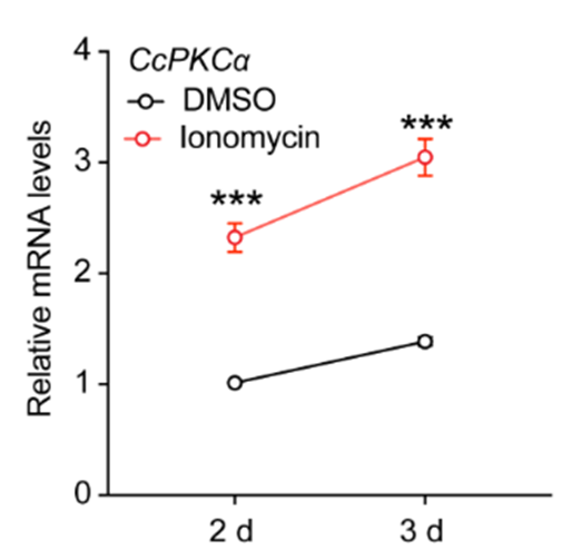 Ionomycin Ionomycin calcium (SQ23377 calcium) | Calcium Ionophore | MCE