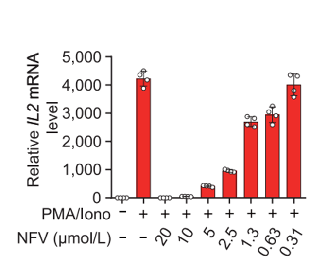 Ionomycin Ionomycin calcium (SQ23377 calcium) | Calcium Ionophore | MCE
