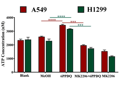 Valid Atp Sample ATP 检测试剂盒 (ATP Assay Kit) | MCE