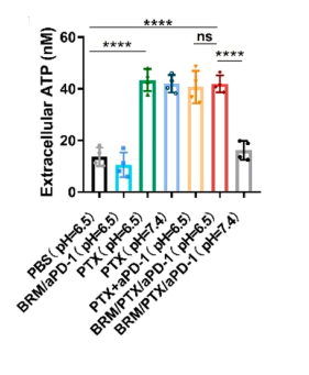 Valid Atp Sample ATP 检测试剂盒 (ATP Assay Kit) | MCE