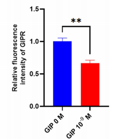 GIP, human (Gastric Inhibitory Peptide (GIP), human，抑胃肽) - 仅供科研 ...