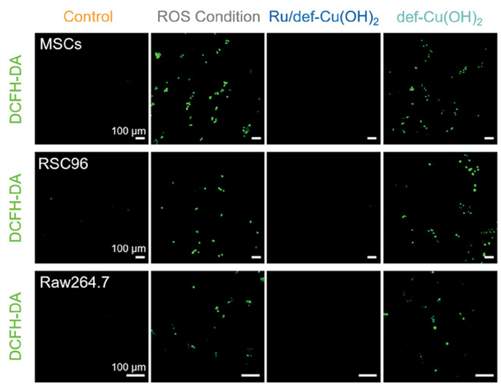 H2DCFDA (DCFH-DA) | ROS检测荧光探针 | MCE