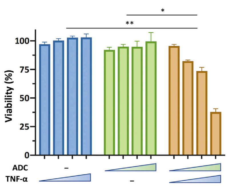 Smcc SMCC-DM1 (DM1-SMCC) | Drug-Linker Conjugate for ADC | MCE