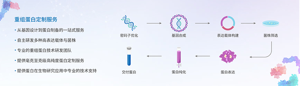 Recombinant Protein Expression Service